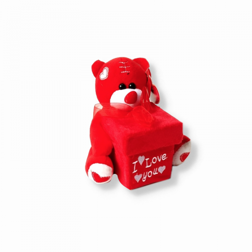Plush Boxed Teddy Bear Red