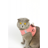 Kedi Gezdirme Tasması - Kedi Tasması Göğüs Tasma Seti Yumuşak Süet Pembe Renk