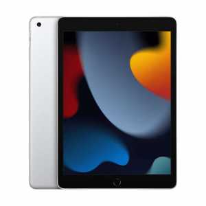 Apple iPad 9.Nesil 256 GB 10.2" WiFi Tablet MK23TU/A Gümüş
