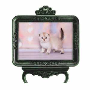 Easel Picture Frame 13x18 Cm - Green