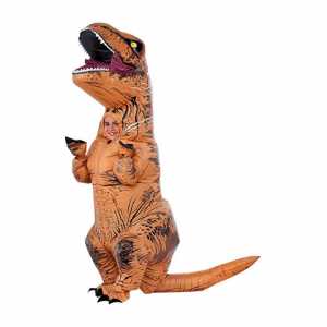 Dinosaur Kids Costume