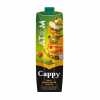 Cappy Atom Meyve Nektarı 1 L