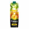 Cappy Kayısı Meyve Nektarı 1 L