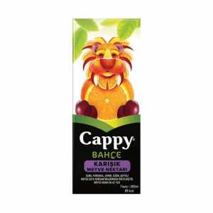 Cappy Meyve Nektarı Karışık 200 Ml