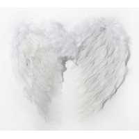 Angel Wing Small Feather 55X35Cm White P1-100